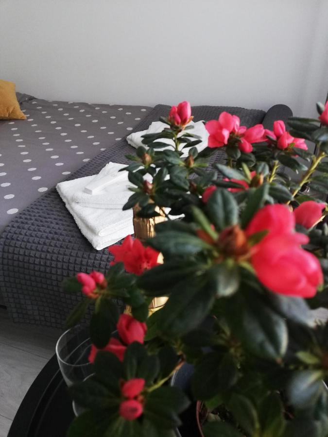 Marlen'S Apartment Βουκουρέστι Εξωτερικό φωτογραφία